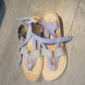 COPY - COPY - El Naturalista new